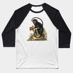 Longtailed black ape with yellow hands and feet, holding two plums. Baseball T-Shirt